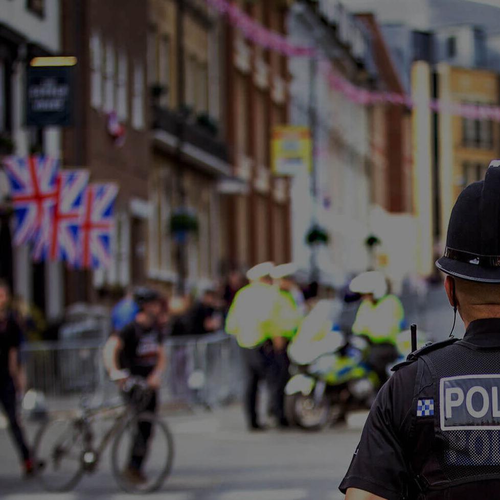 Criminology and Politics