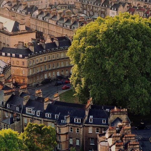 Bath city centre shown from above, with a large, flourishing tree in the centre
