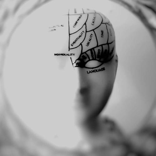 Model of a head with sections of the brain labelled