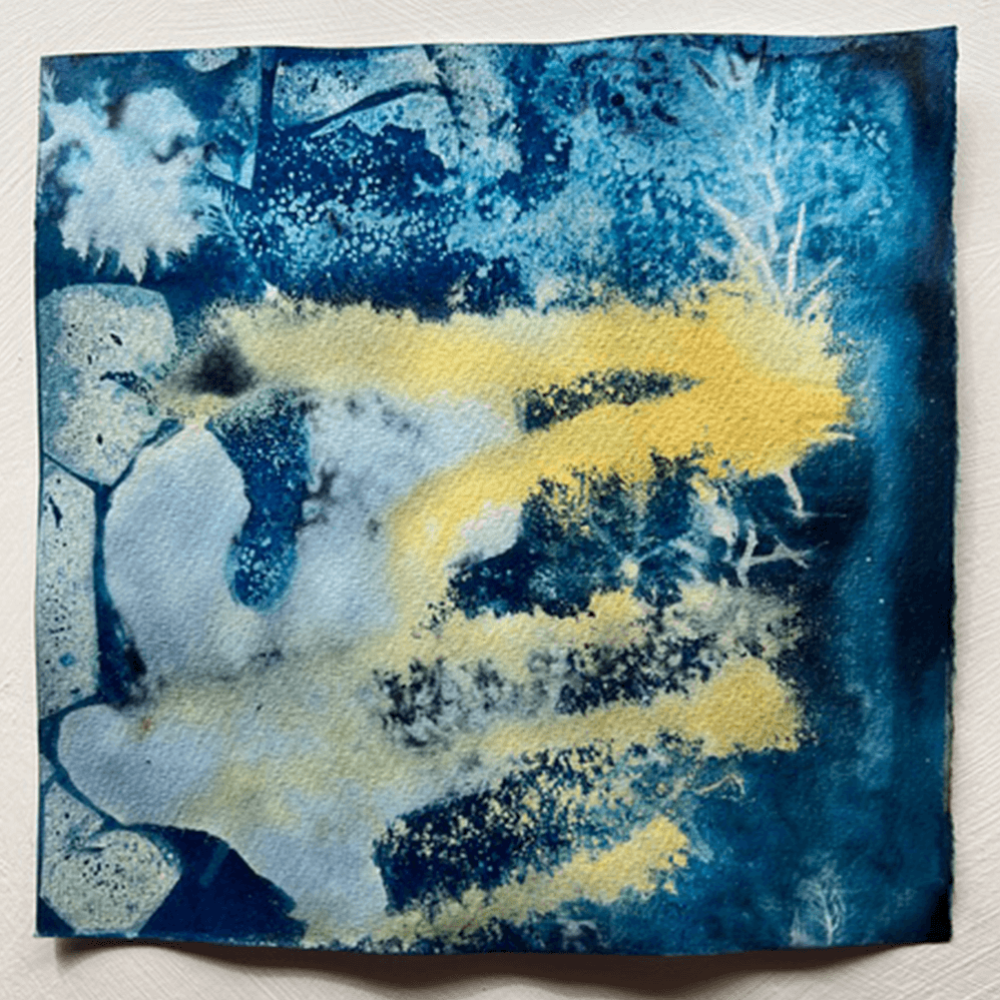 An experimental wet cyanotype print